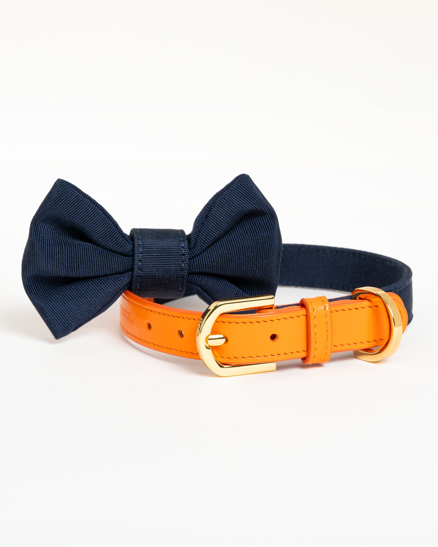 Dear Nora Tangerine dog collar and bow - orange leather, navy blue fabric and 24k plated hardware - front shot